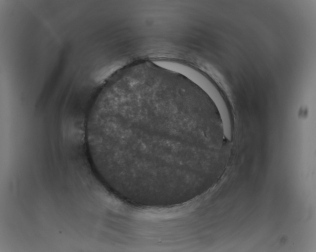 X0000091890017200710031811