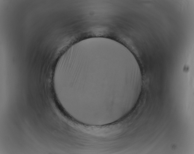 X0000091890018200710031811