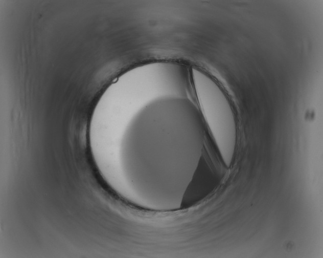 X0000091890019200710031811