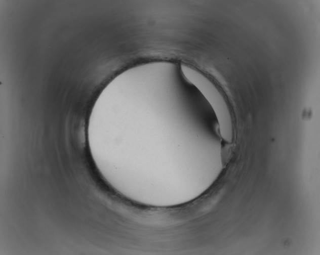X0000091890020200710031811