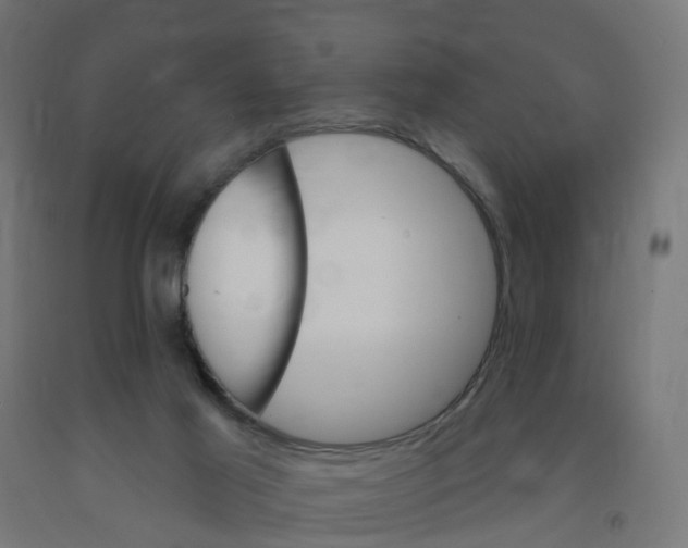 X0000091890021200710031811