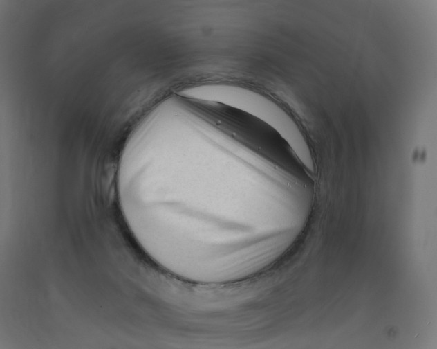 X0000091890022200710031811