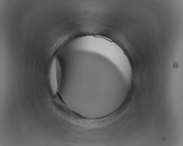 X0000091890023200710031811