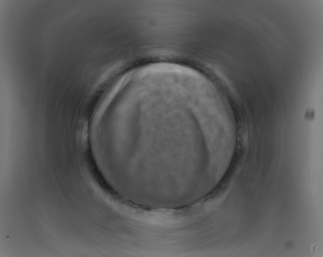 X0000091890024200710031811