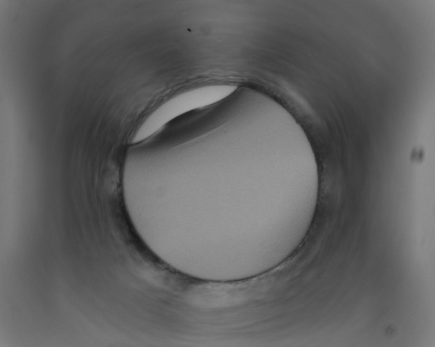 X0000091890025200710031811