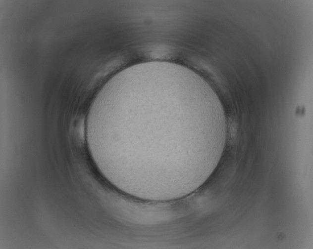 X0000091890028200710031811