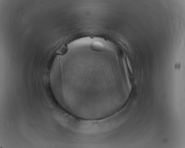 X0000091890029200710031811