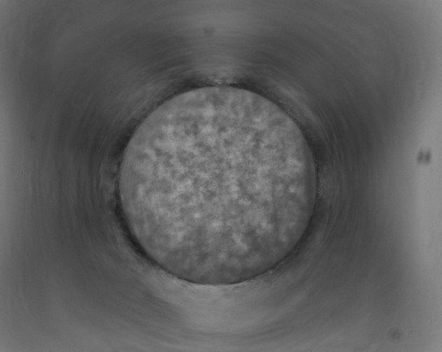 X0000091890030200710031811