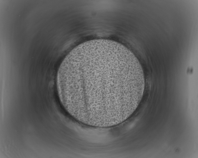 X0000091890032200710031811