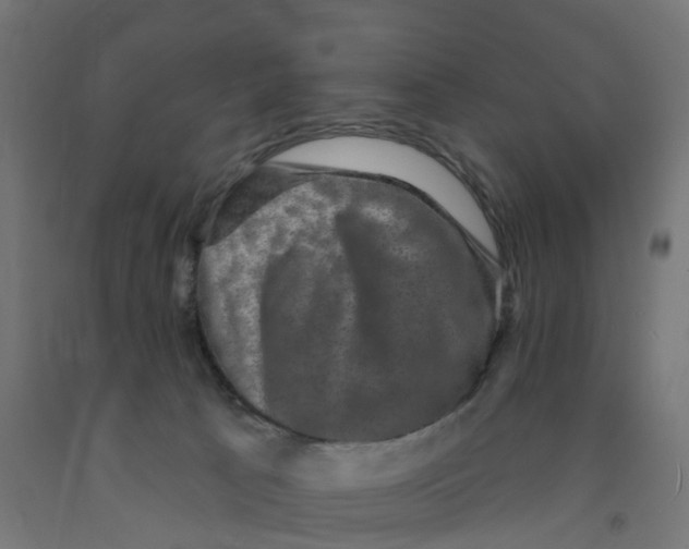 X0000091890033200710031811