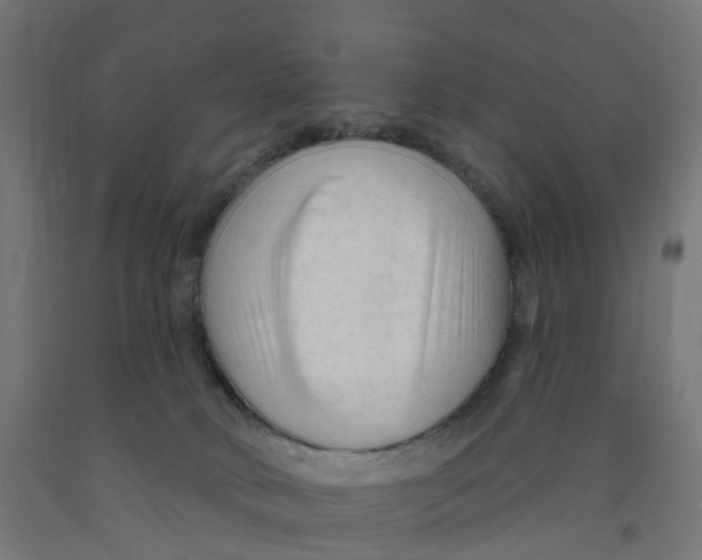 X0000091890034200710031811