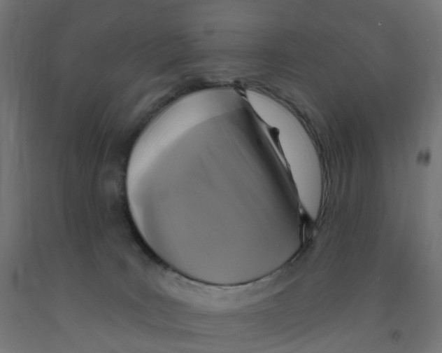 X0000091890035200710031811