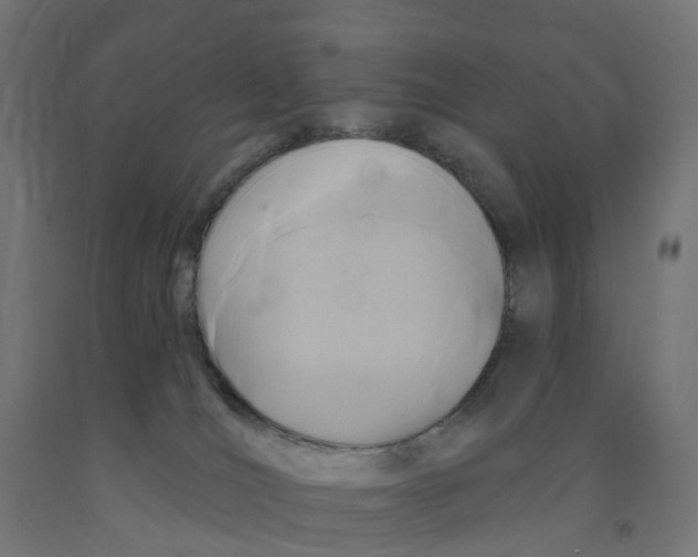X0000091890036200710031811