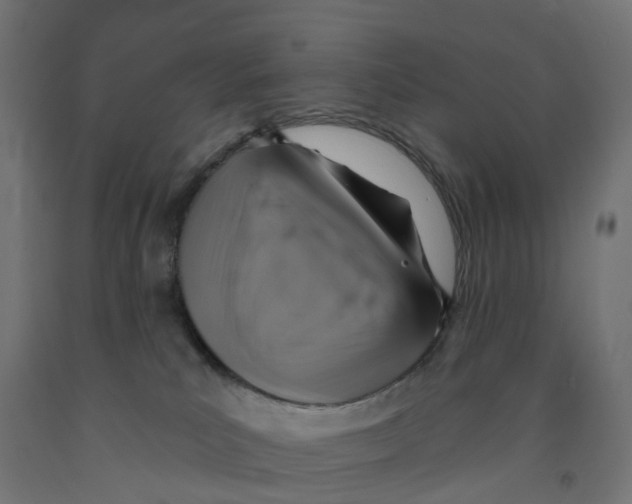 X0000091890039200710031811