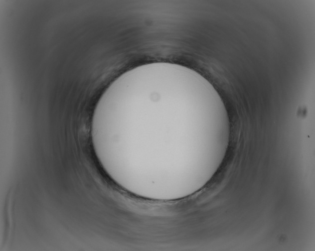 X0000091890040200710031811