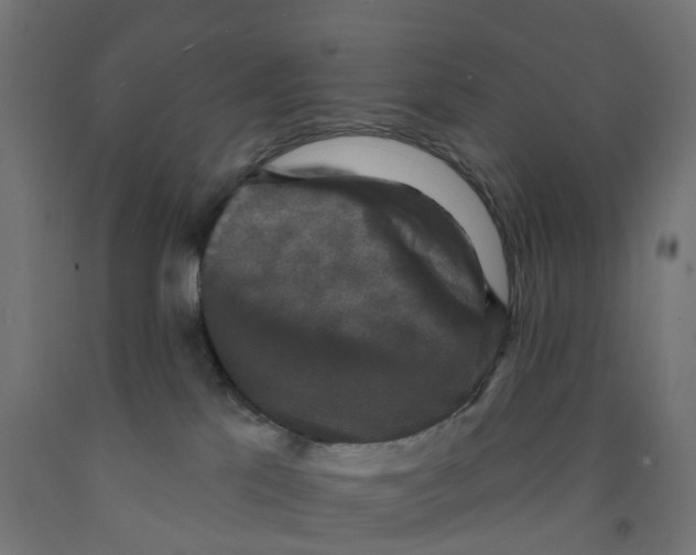 X0000091890041200710031811