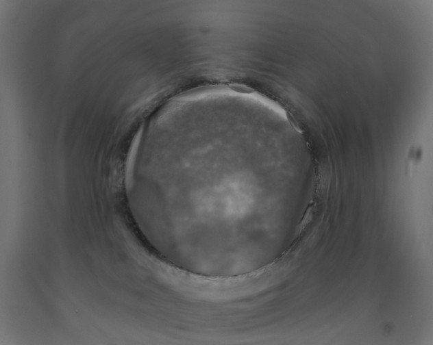 X0000091890043200710031811