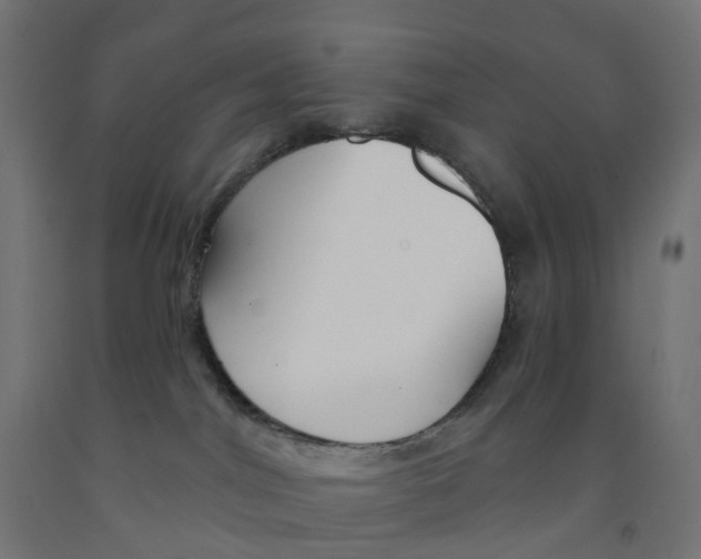 X0000091890044200710031811