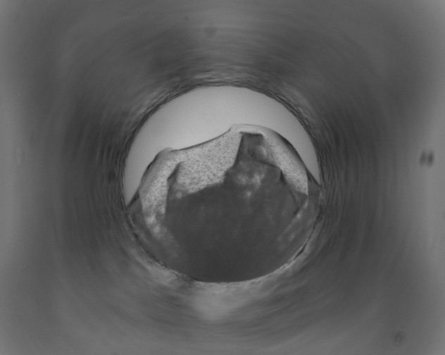 X0000091890045200710031811