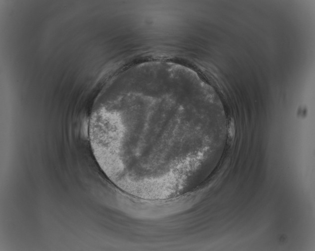 X0000091890046200710031811