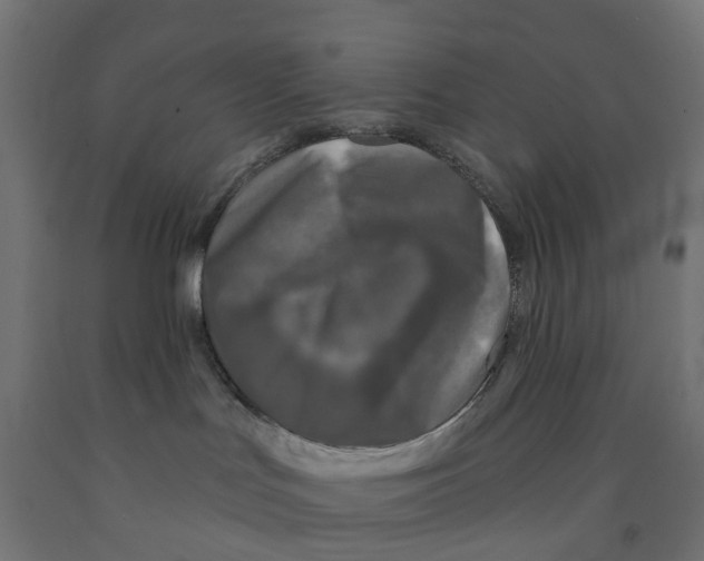 X0000091890047200710031811