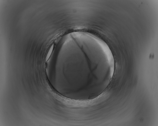X0000091890048200710031811