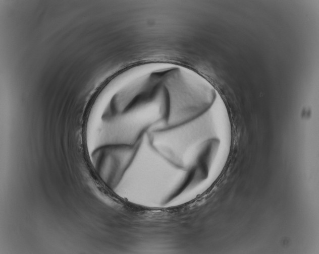 X0000091890050200710031810