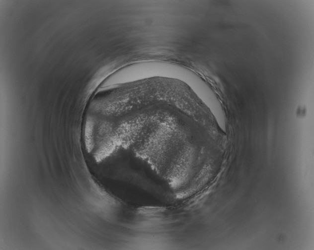 X0000091890051200710031810