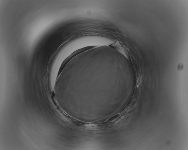 X0000091890052200710031810