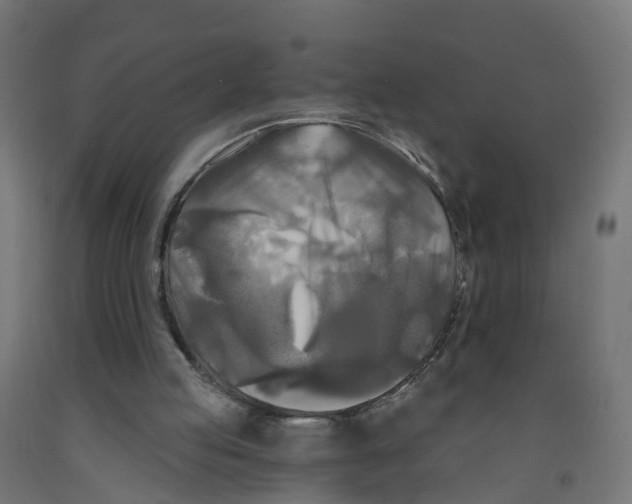 X0000091890053200710031810