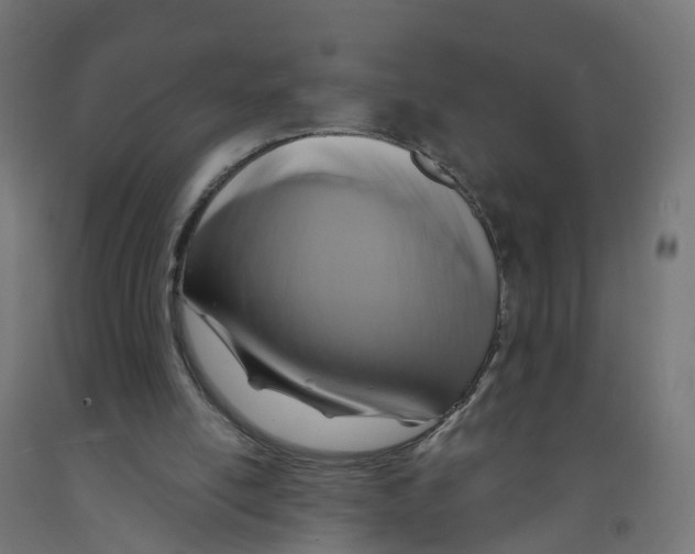 X0000091890054200710031810