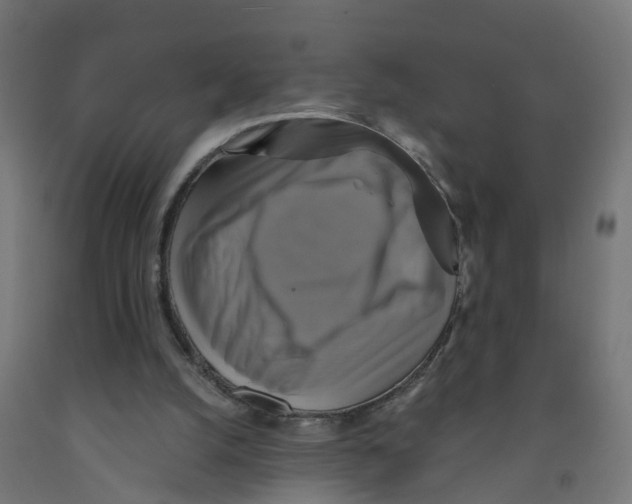 X0000091890056200710031810