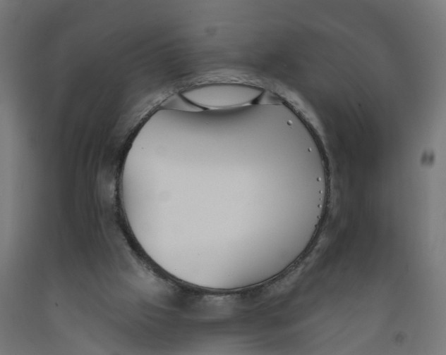 X0000091890057200710031811