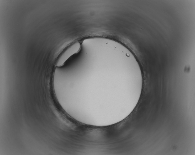 X0000091890058200710031811