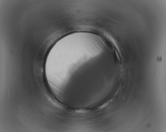 X0000091890059200710031811