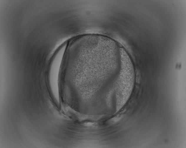 X0000091890060200710031811