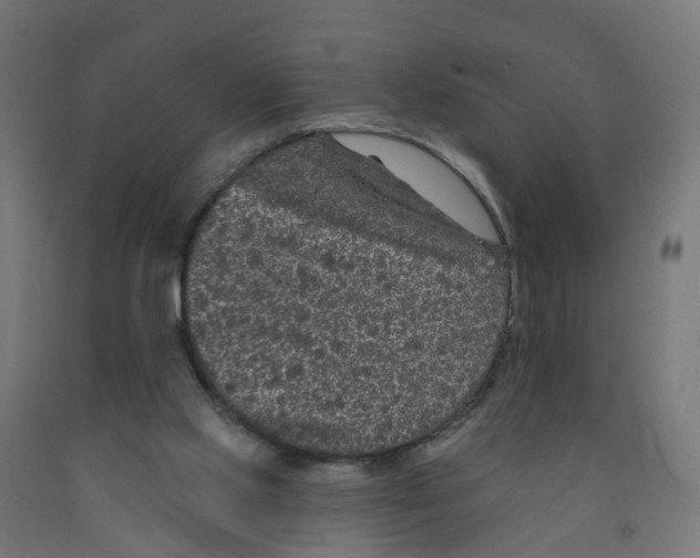 X0000091890061200710031811