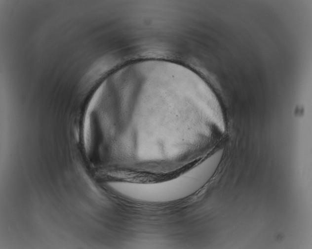 X0000091890062200710031811