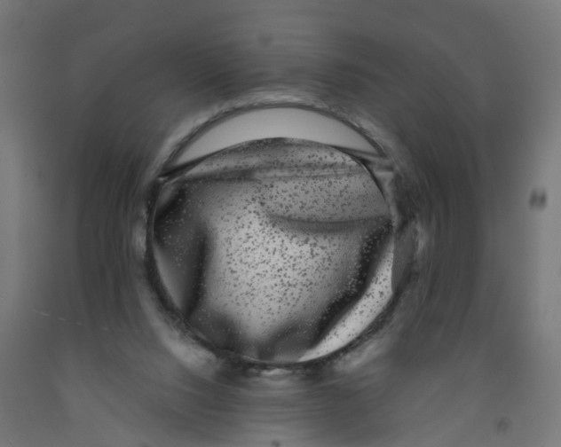 X0000091890064200710031811