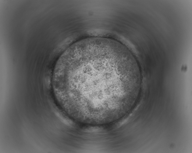 X0000091890065200710031811