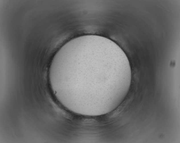 X0000091890066200710031811