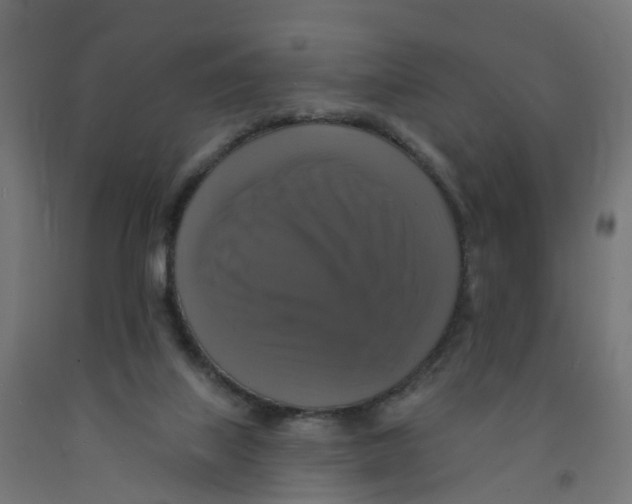 X0000091890067200710031811