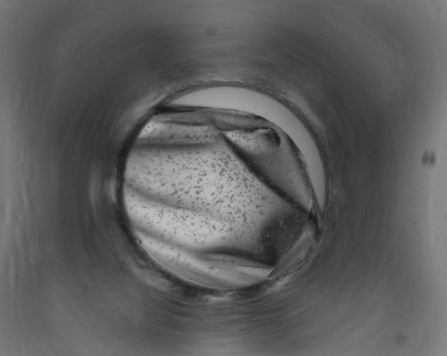 X0000091890068200710031811