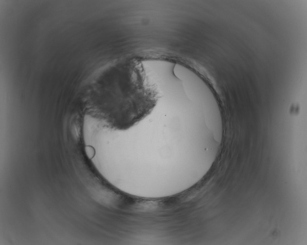X0000091890069200710031811