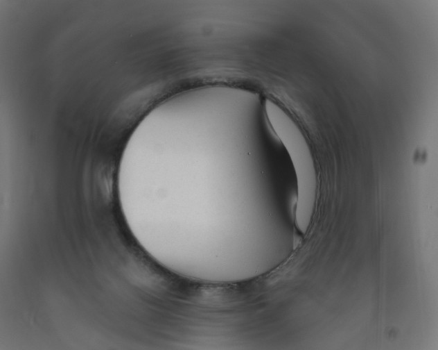 X0000091890070200710031811