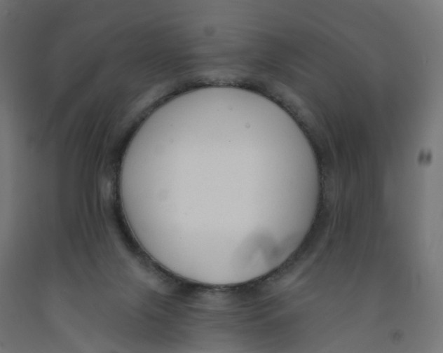 X0000091890071200710031811