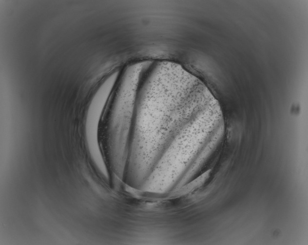 X0000091890072200710031811