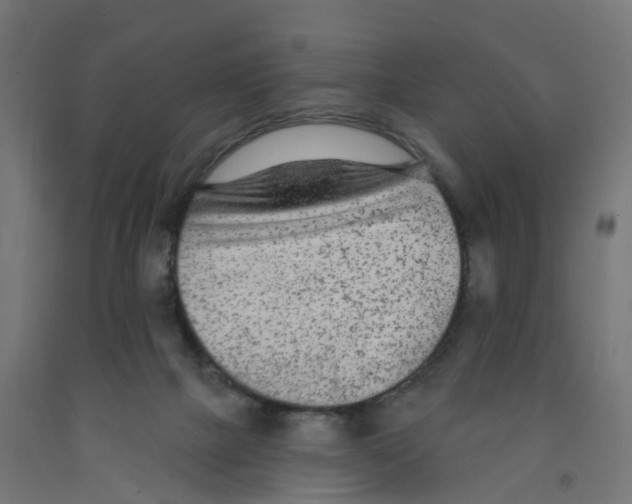 X0000091890073200710031811