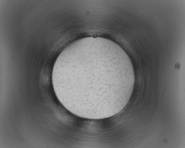 X0000091890074200710031811