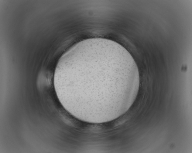 X0000091890075200710031811